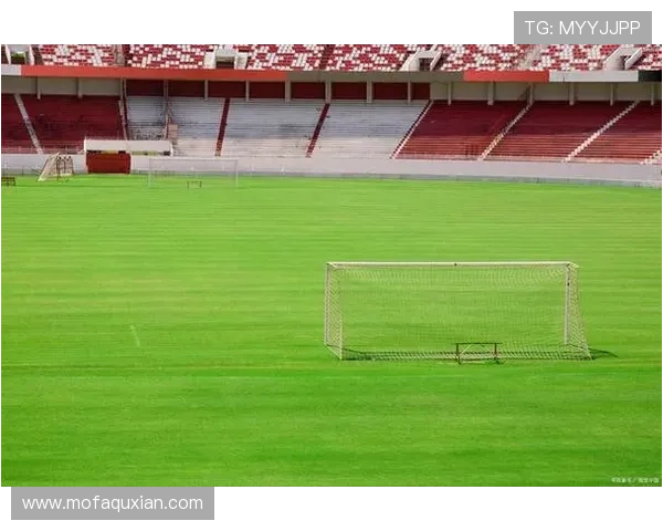 足球明星佛兰的传奇生涯与成就揭秘以及对足球的影响分析